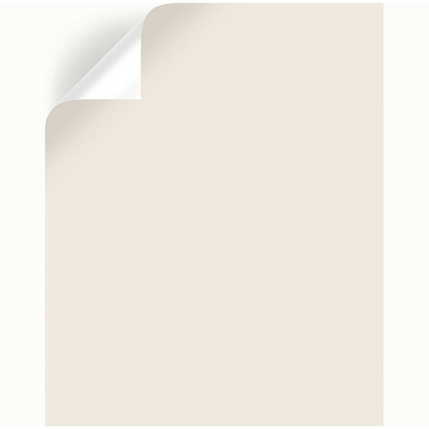 Magnolia Home by Joanna Gaines Antique Rose Peel & Stick Color Sample Ace Hardware