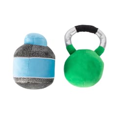 Pet Shop by Fringe Studio Multicolored Plush Sore Today Strong Tomorrow Dog Toy 2 pk