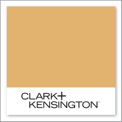 Clark+Kensington Tea and Honey 18B-5