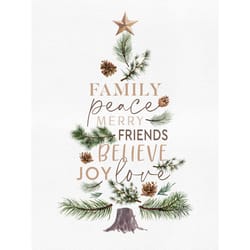 P. Graham Dunn Multicolored Family Peace Merry Friends Believe Joy Love Indoor Christmas Decor 15.75