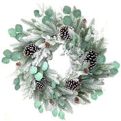 Celebrations 24 in. D Frosted Pine Cone Wreath