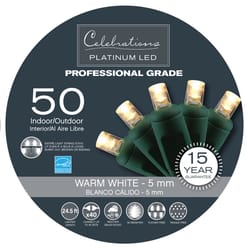 Celebrations Platinum LED Micro/5mm Clear/Warm White 50 ct String Christmas Lights 24.5 ft.
