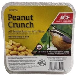 Ace Peanut Crunch Assorted Species Beef Suet 11 oz