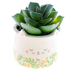 Karma 2 in. H X 2 in. W X 2 in. L Multicolored Ceramic Succulent Pot