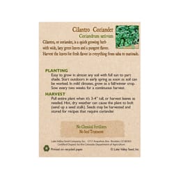Lake Valley Seed Cilantro Seeds