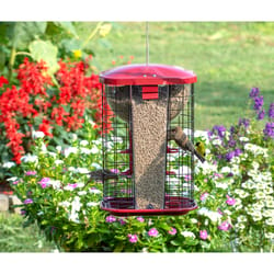 Stokes Select Wild Bird 9.6 lb Metal/Plastic Hopper Bird Feeder 4 ports