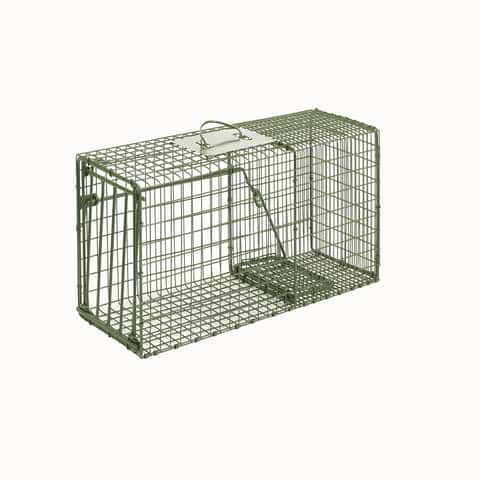 Animal Traps - Ace Hardware