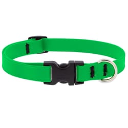 LupinePet Splash Neon Green BioThane Dog Adjustable Collar Medium