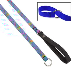 LupinePet Original Designs Multicolor Wet Paint Nylon Dog Training Leash
