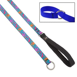 LupinePet Original Designs Multicolor Wet Paint Nylon Dog Training Leash