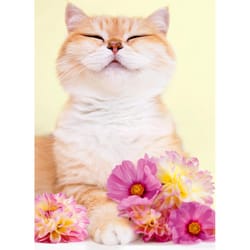 Avanti Seasonal Pretty Cat With Flowers Mother's Day Card Paper 2 pc