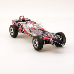 PineCar Body Skin Multicolored