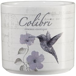 SK 2.7 in. H X 3.15 in. D Clay Vintage Animal Colibri Ceramic Pot Whitewash