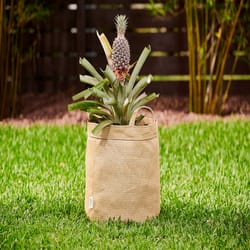 Coolaroo 14 in. H X 15 in. W X 15 in. D X 15 in. D Polyethylene Round Planter Bag Desert Sand