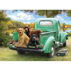 Cobble Hill Let's Go Fishing Jigsaw Puzzle 500 pc