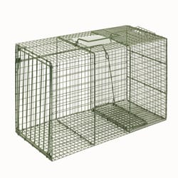 Duke Extra Large Cage Trap For Raccoons 1 pk