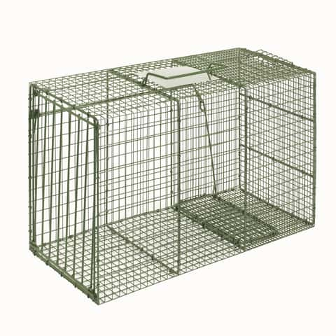 Duke Extra Large Live Catch Cage Trap For Raccoons 1 pk - Ace Hardware