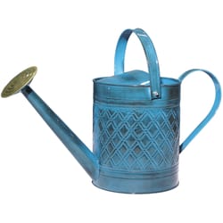 Novelty Watering Can 2 Gallons Lot of 2 Bright Blue 