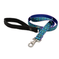 LupinePet Original Designs Multicolor Rain Song Nylon Dog Leash