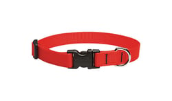 LupinePet Basic Solids Red Red Nylon Dog Adjustable Collar