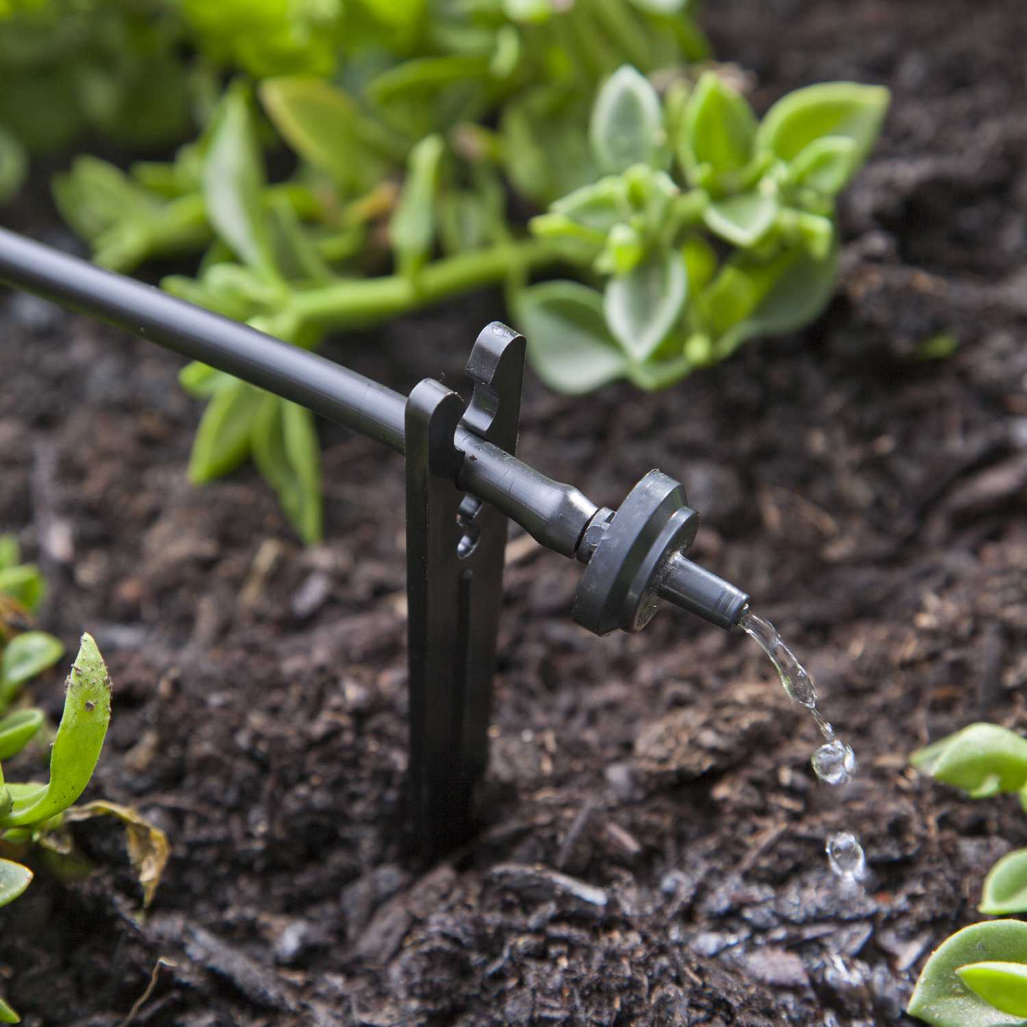 Raindrip Drip Irrigation Dripper Ace Hardware