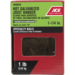 Ace 1-1/4 in. Joist Hanger Hot-Dipped Galvanized Steel Nail Round Head 1 lb