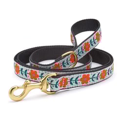 Up Country Gray Orange You Pretty Nylon Dog Leash