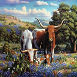 Ravensburger Loving Longhorns Puzzle Multicolored 500 pc