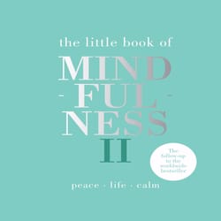 Chronicle Books Little Book of Mindfulness II Book