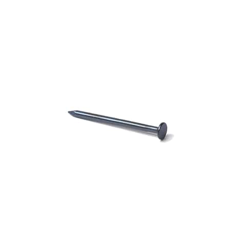 Ace 3D 1-1/8 in. Drywall Blue Steel Nail Flat Head 1 lb