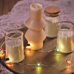 Celebrations LED Micro Dot/Fairy Clear/Warm White 20 ct Novelty Christmas Lights 6.2 ft.