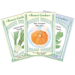 Renee's Garden Seeds 1 pk