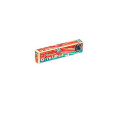 Schylling Magnetic Gyro Wheel Mulitcolored