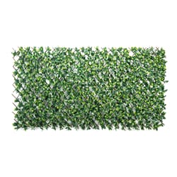 Privahedge 36 in. H Green Wood Gardenia Leaf