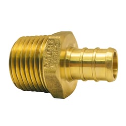 Apollo 1/2 in. PEX Barb in to X 1/2 in. D MPT Brass Adapter