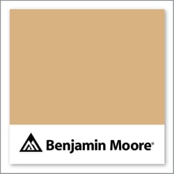 Benjamin Moore Dark Beige 2165-40