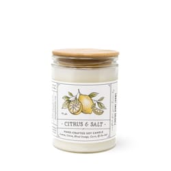 Finding Home Farms White Citrus & Salt Scent Candle 11 oz