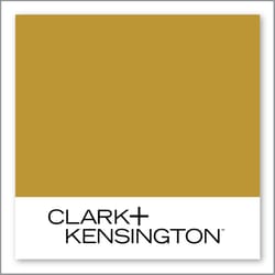 Clark+Kensington Golden Lentil 21B-7