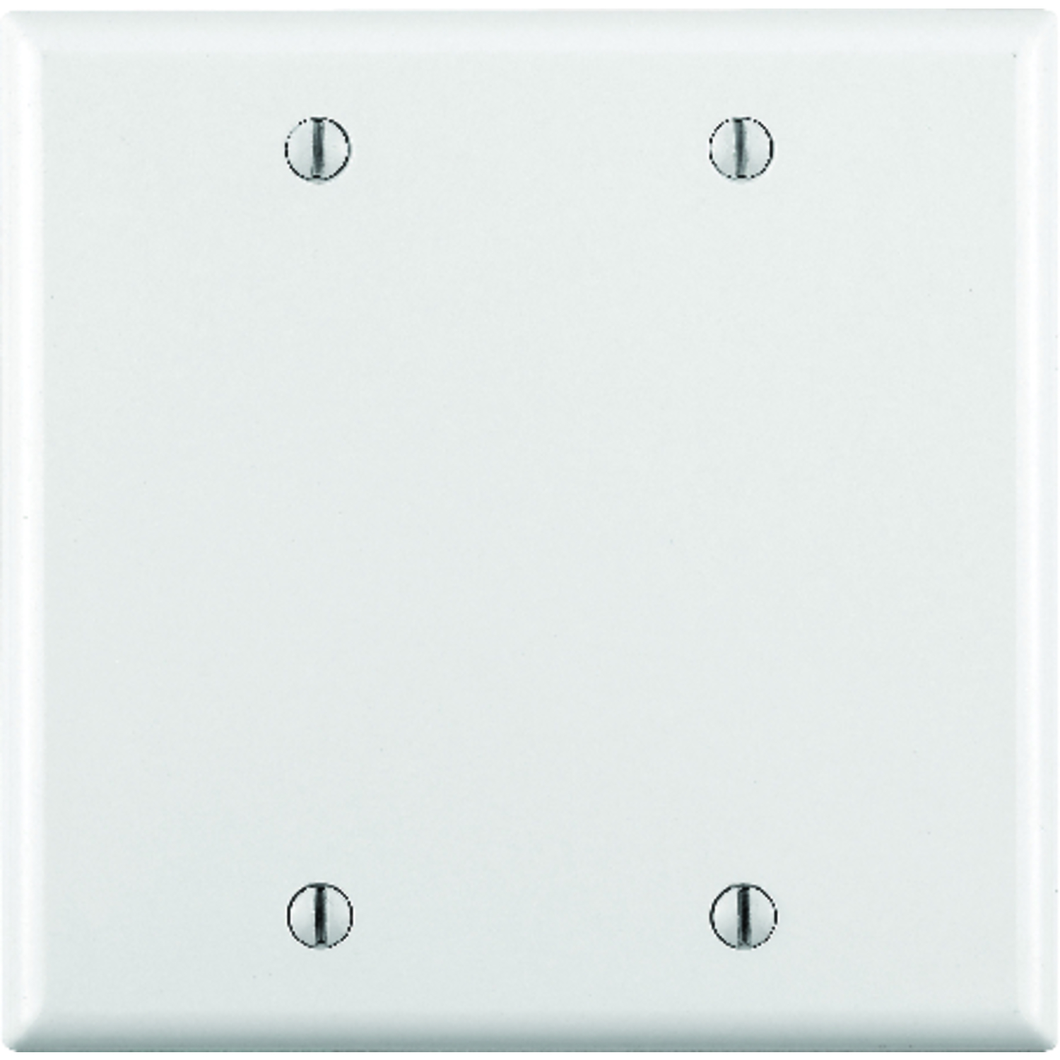Leviton White 2 gang Plastic Blank Wall Plate 1 pk - Ace Hardware