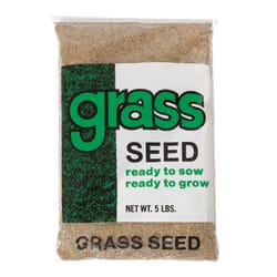 Barenbrug Annual Ryegrass Partial Shade/Sun Grass Seed 5 lb