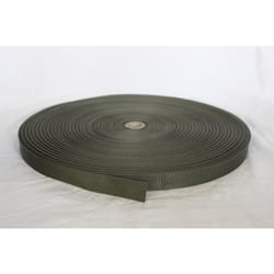 Bulk-Strap 2 in. W X 300 ft. L Green Webbing 300 lb