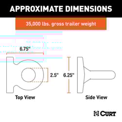 CURT 35000 lb. cap. Lunette Ring
