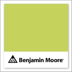 Benjamin Moore Electric Slide 404