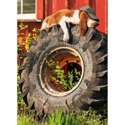 Avanti Seasonal Relaxing Dog On Tractor Tire Father's Day Card Paper 2 pc