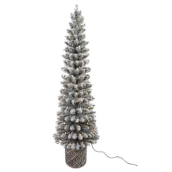 Celebrations 5 ft. Slim LED 100 ct Flocked Diamond Potted Color Changing Entrance Tree