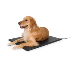 K&H Pet Products Black Plastic Heated Pet Mat 22.5 in. W X 28.5 in. L