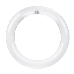 Feit Plug & Play T9 Cool White 8 in. G10Q Circular LED Bulb 22 Watt Equivalence 1 pk