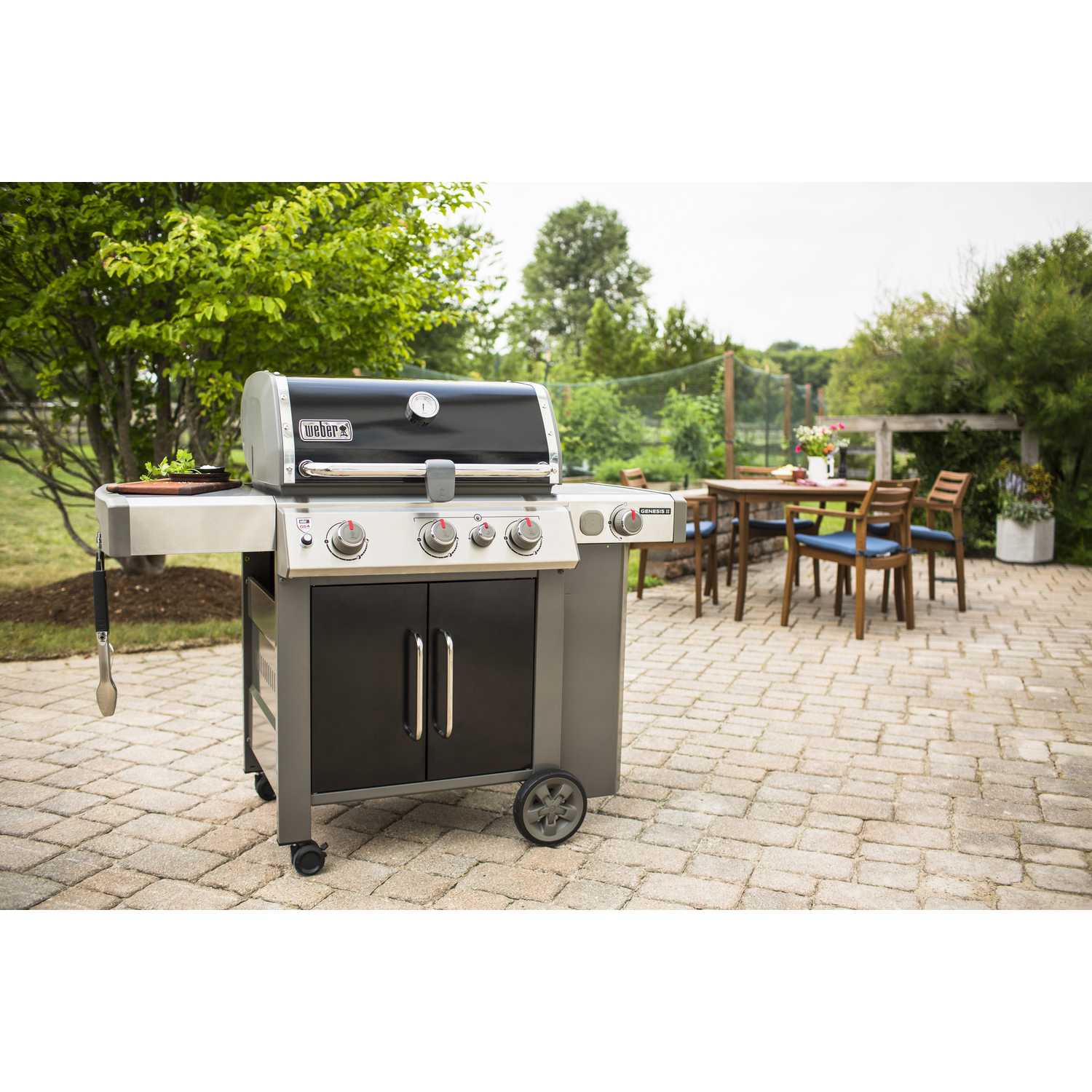 er Genesis II SE335 3 burners Propane Grill Black 39000 BTU Ace