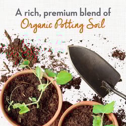 Whitney Farms Organic Fruit and Vegetable Potting Soil 8 qt