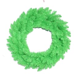 Celebrations 24 in. D Grinch Wreath